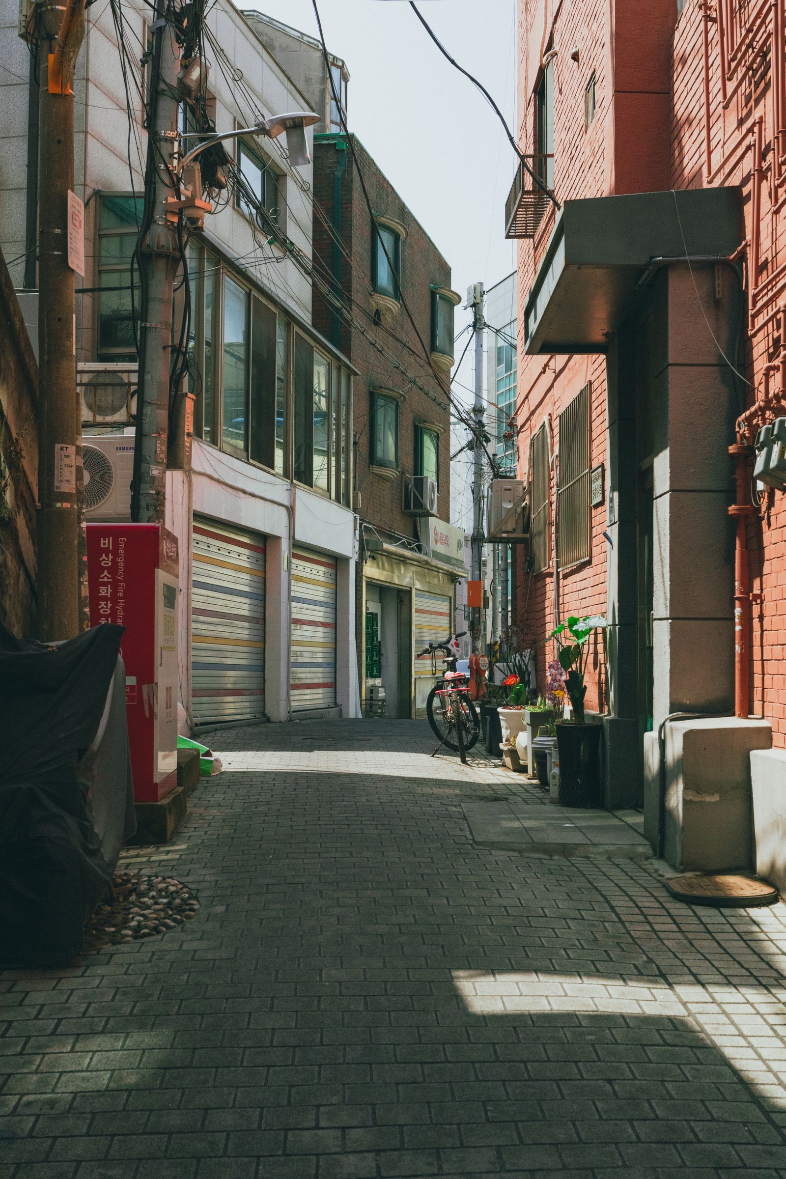 Hidden Seoul Spots Locals Actually Go