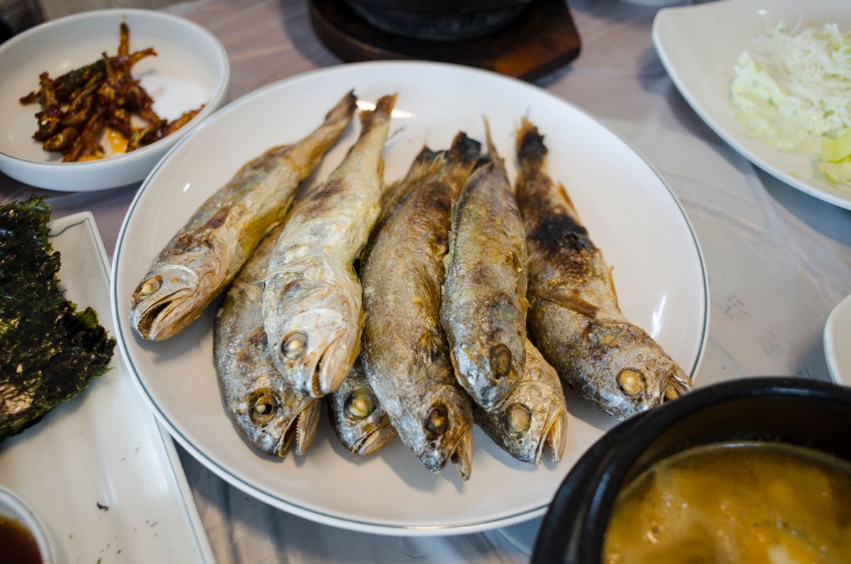 가을 전어 요리 총정리 — 집 나간 며느리도 돌아온다는 그 생선
